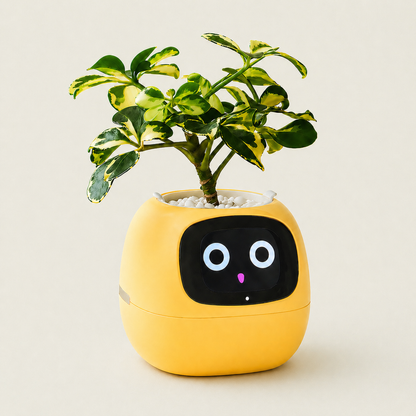 Ivy AIスマートプランター｜観葉植物の見守り｜ギフト向け